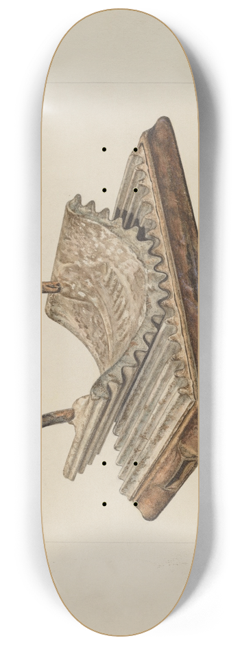 Frank J. Mace - Fluter 8.25 inch art skate deck