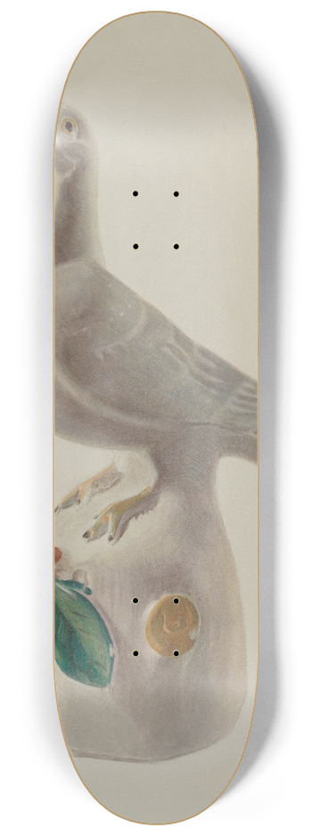 Franklyn Syres - Dove 8.25 inch art skate deck