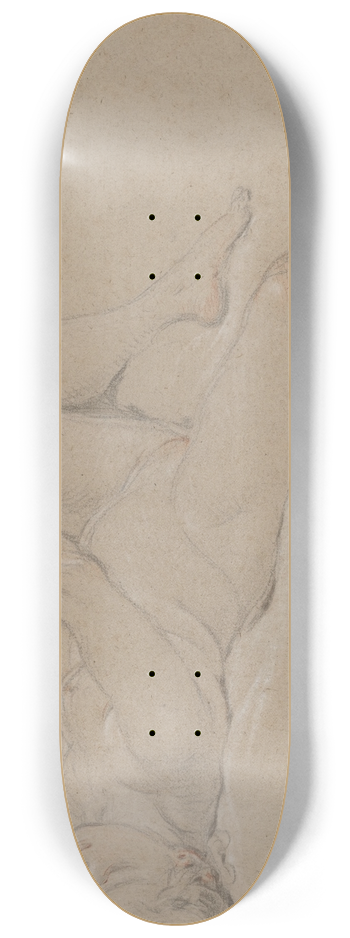 Franois Boucher - Venus 8.25 inch art skate deck