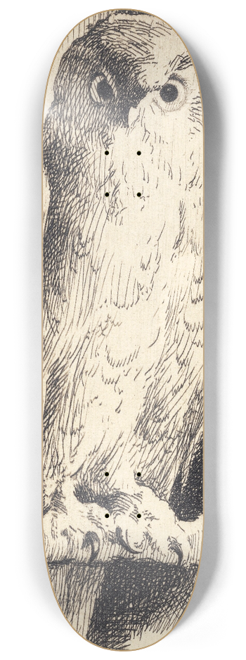 Frans Schwartz - Prveplade; en ugle 8.25 inch art skate deck