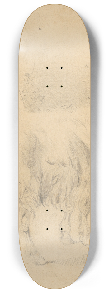 Frantiek Belopotock - Kresba capa 8.25 inch art skate deck