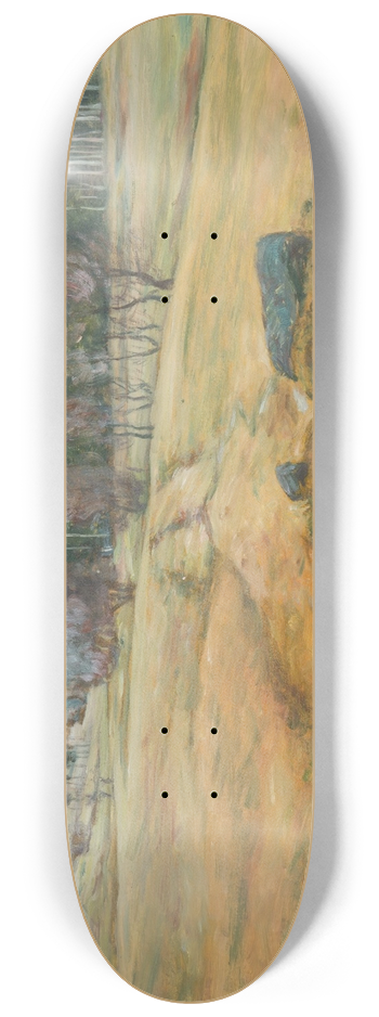 Frantiek Kavn - A Wet Winter 8.25 inch art skate deck