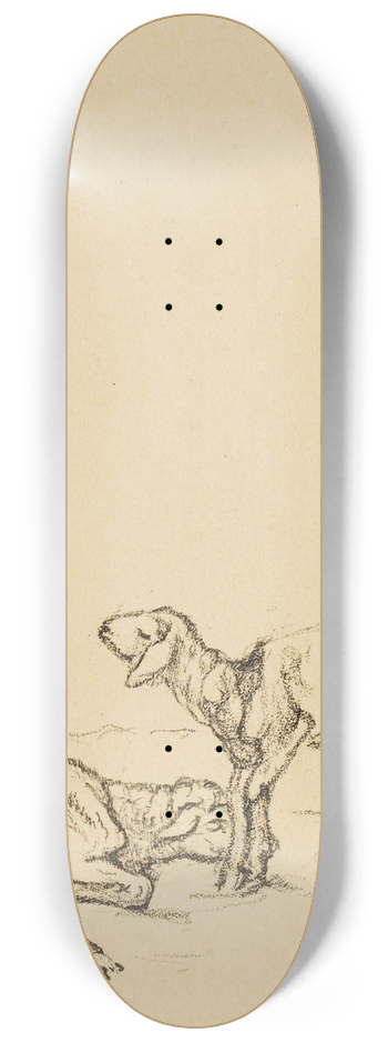 Franz Marc - Zwei Lmmer 8.25 inch art skate deck