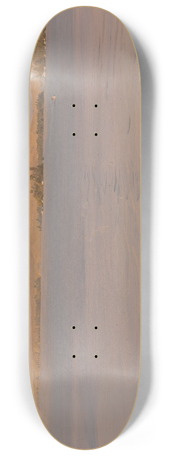 Frederic Edwin Church - Mount Katahdin from Lake Millinocket 8.25 inch art skate deck