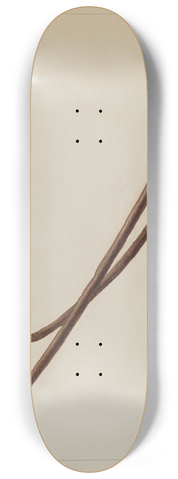 Fred Hassebrock - Pot Hooks 8.25 inch art skate deck