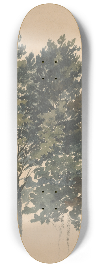 Friedrich Carl von Scheidlin - Study of a Treetop 8.25 inch art skate deck
