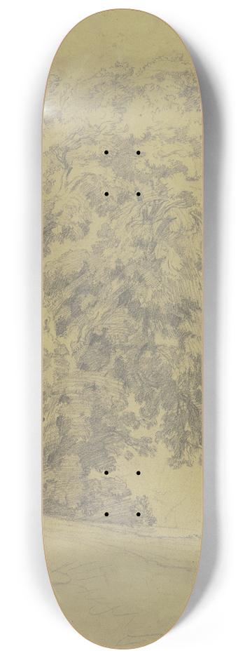 Friedrich Metz - Oak tree 8.25 inch art skate deck