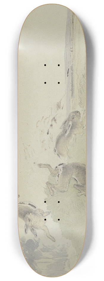 Friedrich Wilhelm Keyl - Drei Hasen erschrecken vor der Eisenbahn 8.25 inch art skate deck