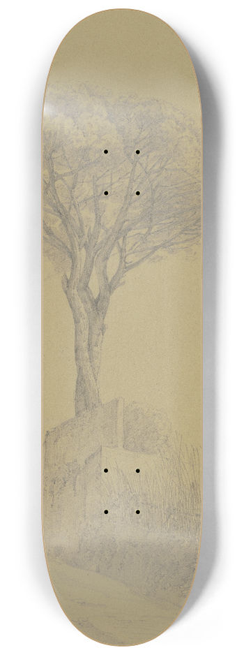 Friedrich Wilhelm Ludwig - Pinie im Giardino Barberini in Rom 8.25 inch art skate deck