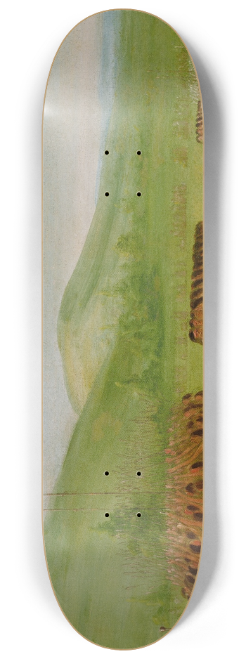 George Catlin - Ball-Play Dance, Choctaw 8.25 inch art skate deck