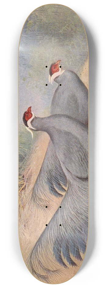 George Edward Lodge - Blue Eared-Pheasant 8.25 inch art skate deck