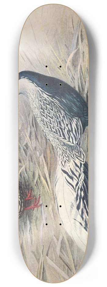 George Edward Lodge - Hainan Silver Kaleege 8.25 inch art skate deck