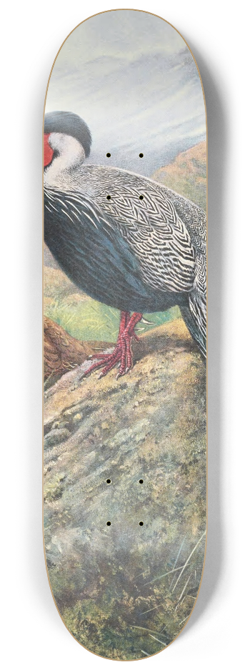 George Edward Lodge - Rippons Hybrid Silver Kaleege 8.25 inch art skate deck