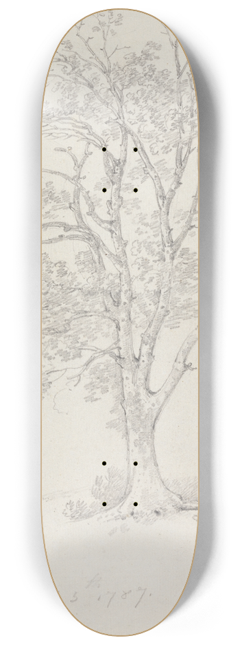 George Howland Beaumont - Tree at Easton Park 8.25 inch art skate deck