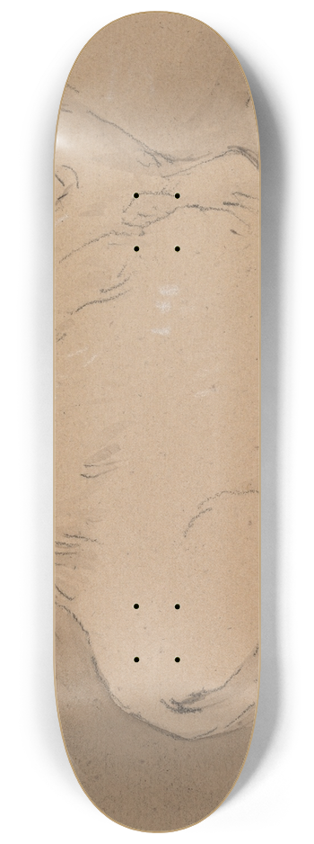 George Jones - A Camel Resting 8.25 inch art skate deck