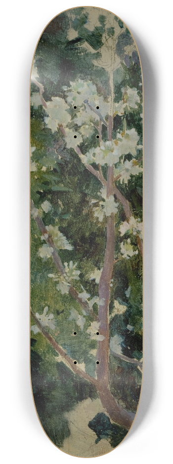 George Randolph Barse - Capri 8.25 inch art skate deck