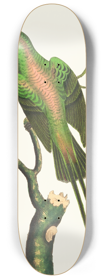 George Shaw - THE SHINING CREEPER 8.25 inch art skate deck