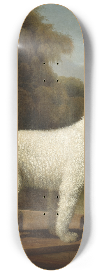 George Stubbs - White Poodle in a Punt 8.25 inch art skate deck