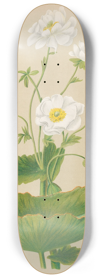 Georgina Burne Hetley - Mountain Lily 8.25 inch art skate deck
