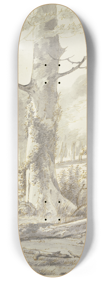 Gerard van Nijmegen - Buchenstamm am Waldrand, davor ein abgefallener Ast 8.25 inch art skate deck