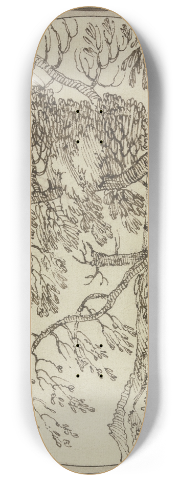 Giovanni Francesco Grimaldi - Tree section by the water 8.25 inch art skate deck