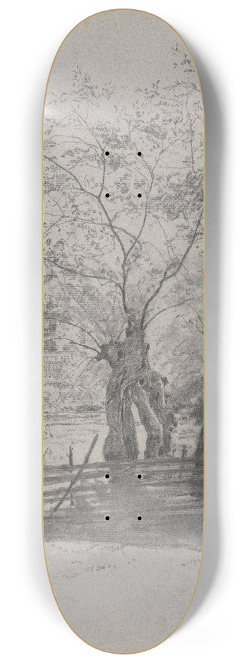 Gustav Kampmann - Drei Weiden hinter einem Lattenzaun 8.25 inch art skate deck
