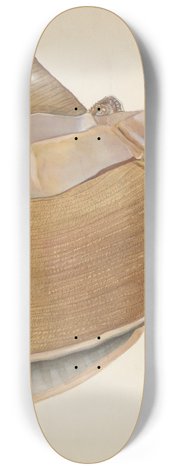 Gwyneth King - Bonnet 8.25 inch art skate deck