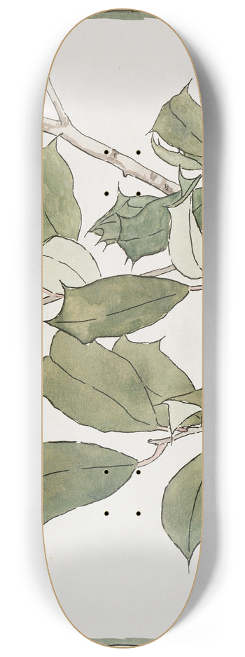 Hannah Borger Overbeck - Holly. 8.25 inch art skate deck