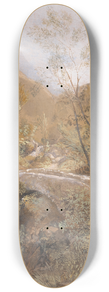 Hannah Linnell Palmer - Bridge at Corpo di Cava 8.25 inch art skate deck