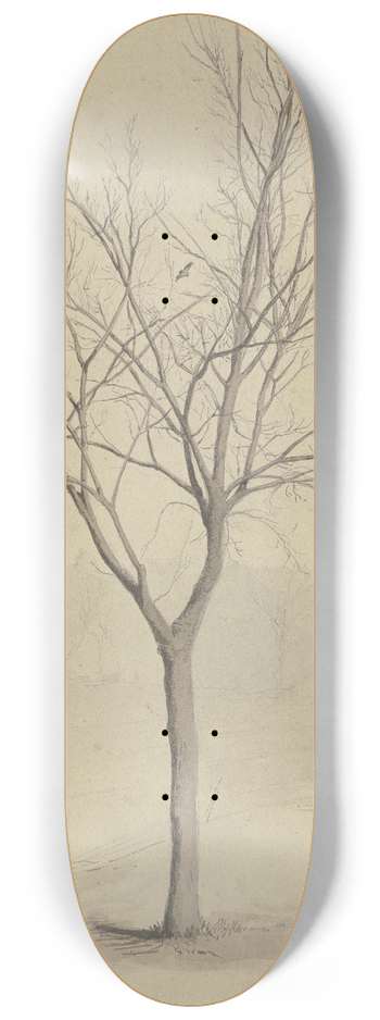 Hans Thoma - Leafless tree with birds 8.25 inch art skate deck
