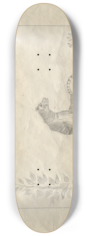 Hans Thoma - Sketchbook 8.25 inch art skate deck