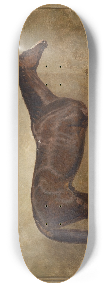 Harald R Hall - Prince Charlie 8.25 inch art skate deck