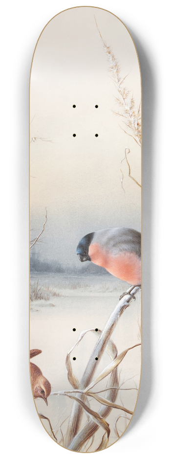 Harry Bright - Winter  A Cock Bullfinch and Wren 8.25 inch art skate deck
