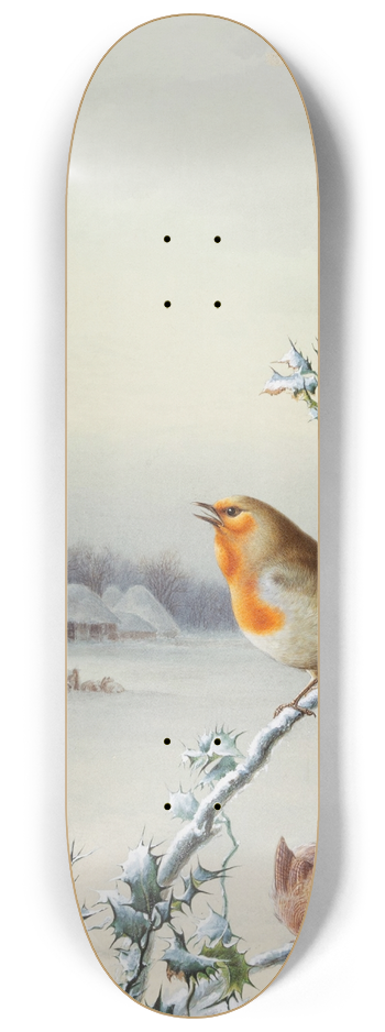 Harry Bright - Winter  A Robin and Wren 8.25 inch art skate deck