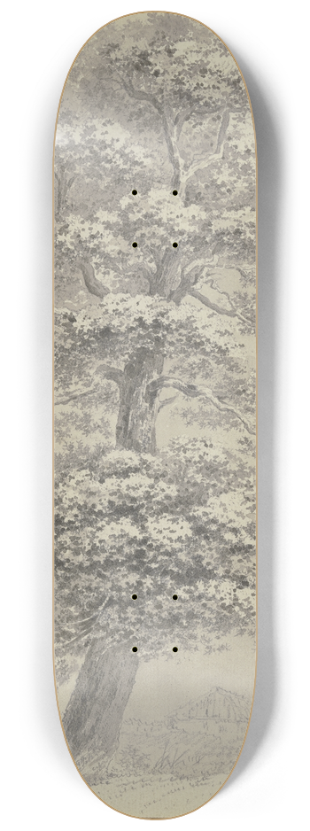 Heinrich Rieter - Oak trees 8.25 inch art skate deck