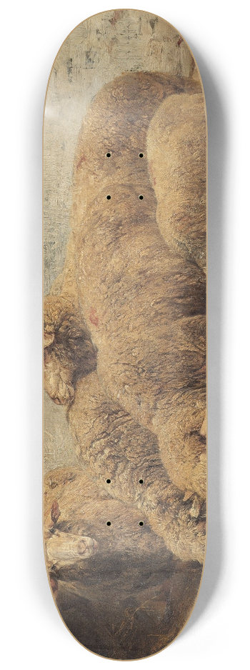 Heinrich Von Zgel - Sheep In A Barn 8.25 inch art skate deck