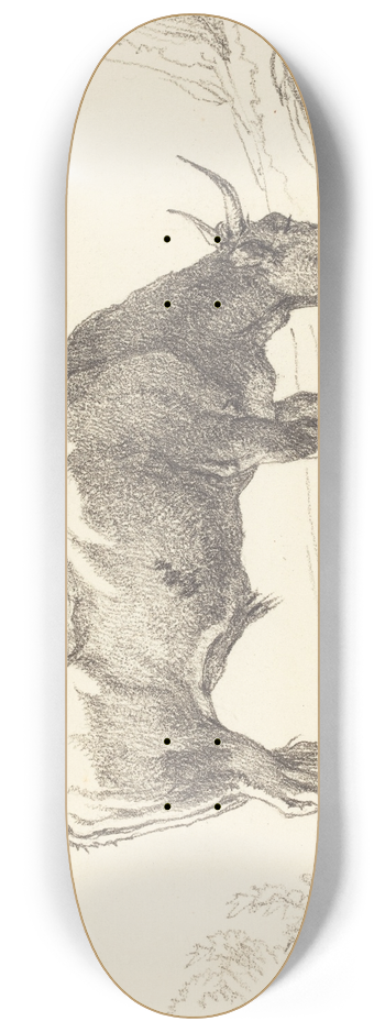 Hendrik Voogd - A Young Bull Grazing 8.25 inch art skate deck