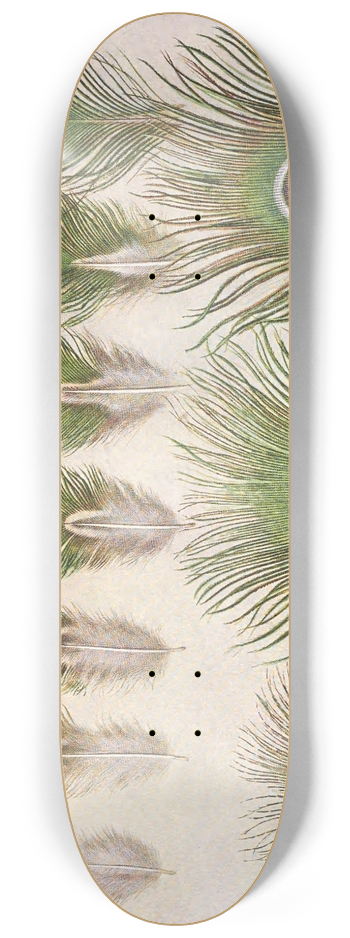 Henrik Gronvold - Evolution of the eyes on a Peacocks Train 8.25 inch art skate deck