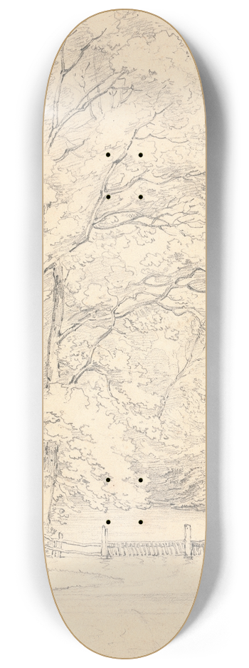 Henry Edridge - Michelham, Surrey 8.25 inch art skate deck