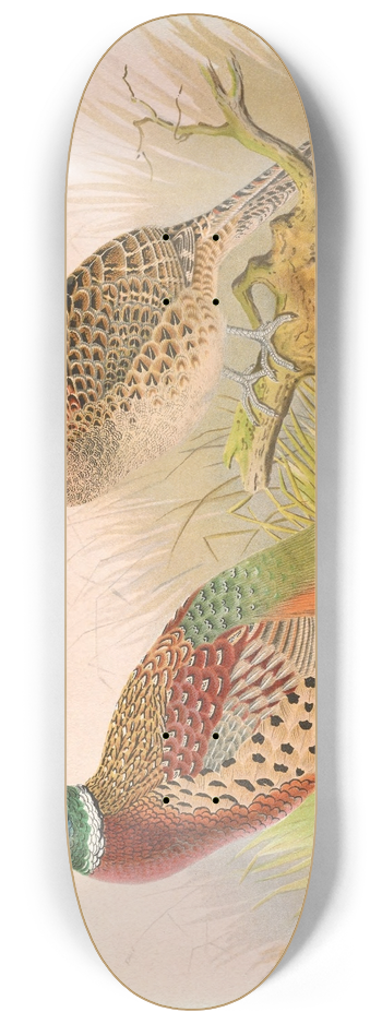 Henry Jones - Eastern Chinese Ring-Necked Pheasant 8.25 inch art skate deck