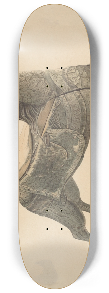Henry Murphy - Carousel Horse 8.25 inch art skate deck