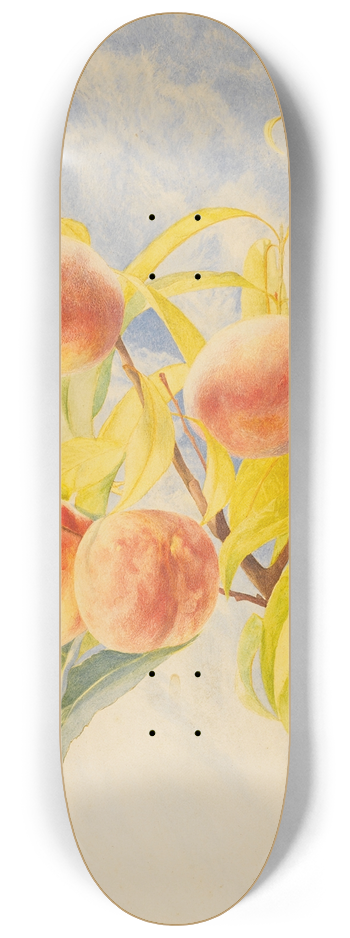 Henry Roderick Newman - Peaches 8.25 inch art skate deck