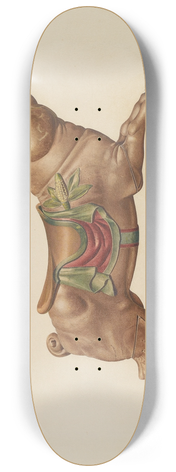 Henry Tomaszewski - Carousel Pig 8.25 inch art skate deck