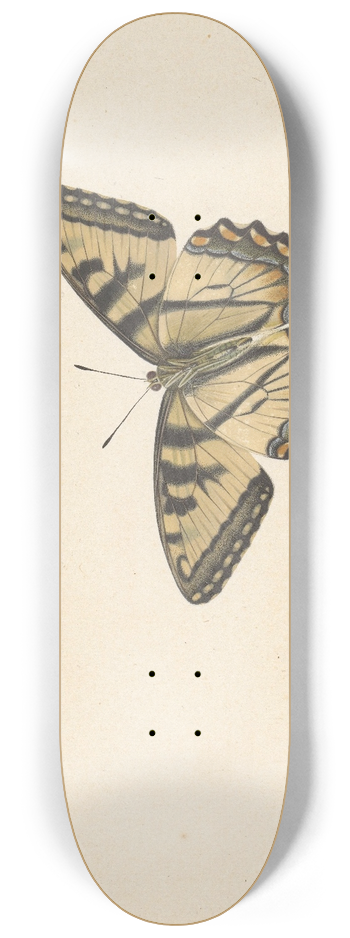 Herman Henstenburgh - Drie vlinders 8.25 inch art skate deck