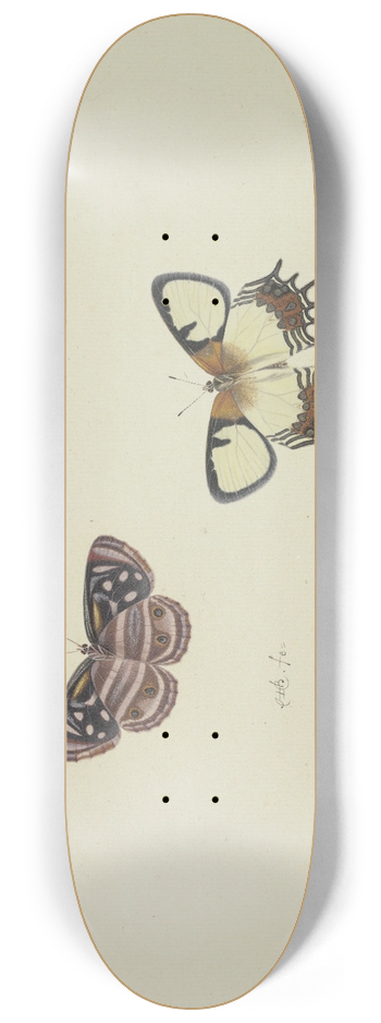 Herman Henstenburgh - Three butterflies 8.25 inch art skate deck