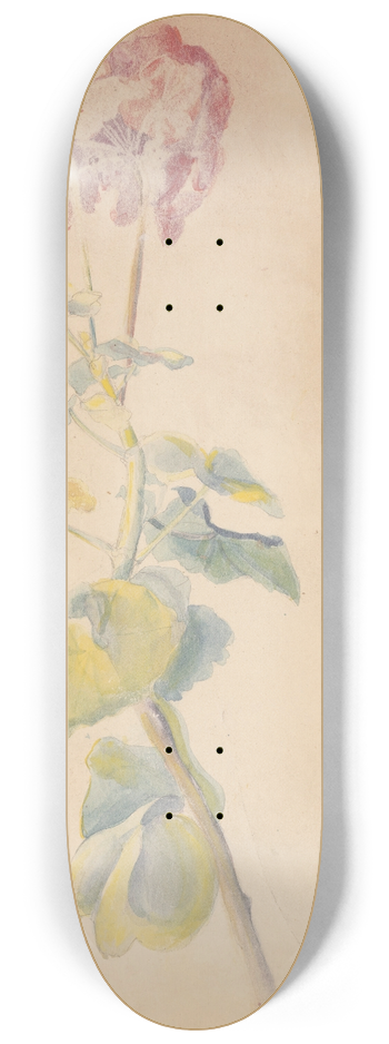 Hippolyte Petitjean - tude de fleur 8.25 inch art skate deck