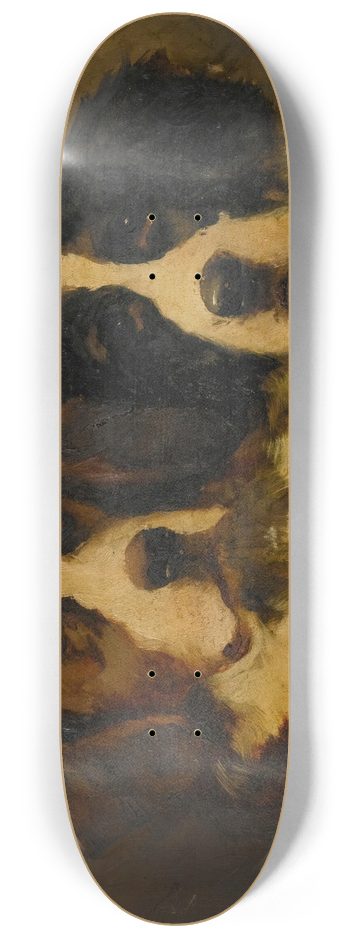 Hugh George Shaw - Study Of Two St. Bernards 8.25 inch art skate deck