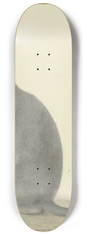 Isaac van Haastert - Kangoeroe 8.25 inch art skate deck
