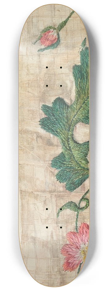 Isabella Ruth Doerfler - Bed Valance Detail 8.25 inch art skate deck