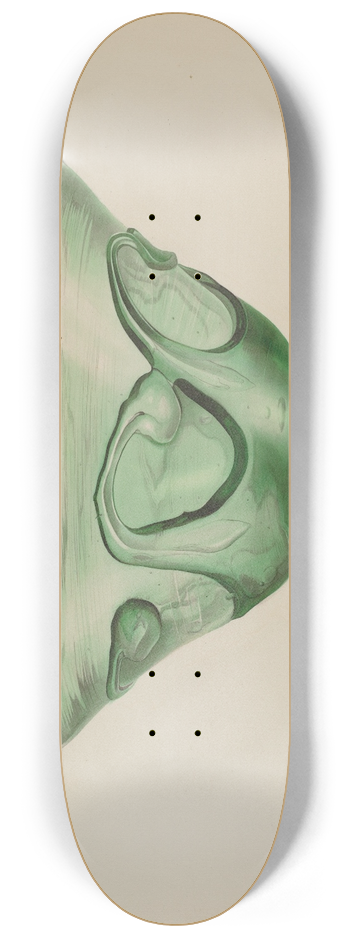 Isidore Steinberg - Bowl 8.25 inch art skate deck